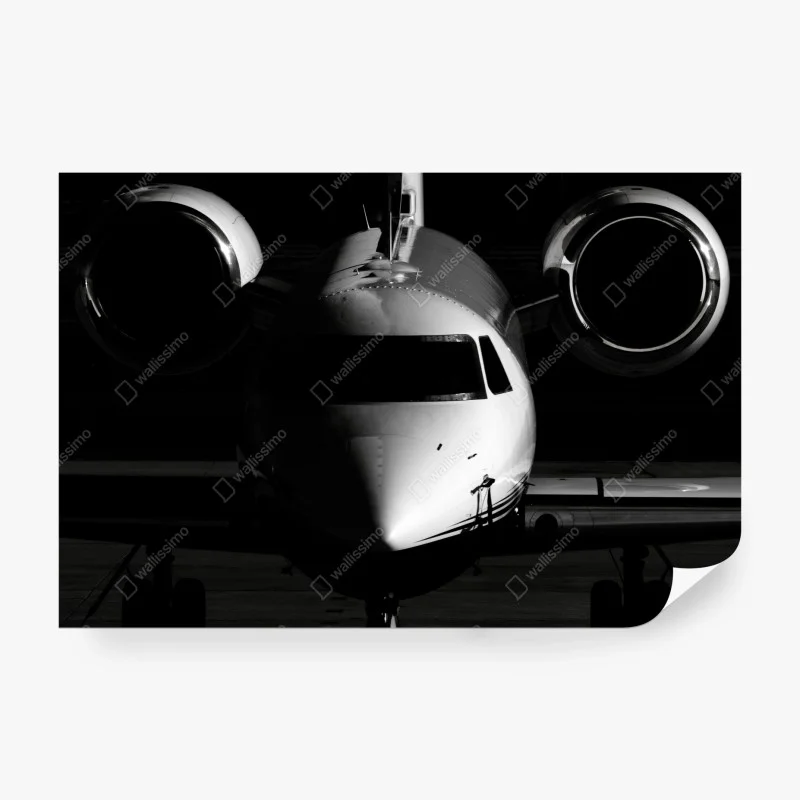 Wall mural monochrome private jet front view