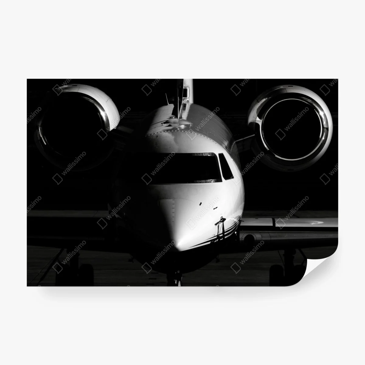 Wall mural monochrome private jet front view • Wallissimo® Wall mural monochrome private jet front view • Wallissimo®