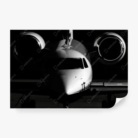 Wall mural monochrome private jet front view • Wallissimo®