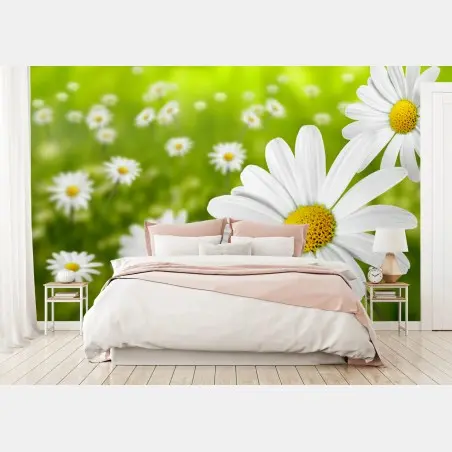 Wall mural white daisy meadow • Wallissimo®