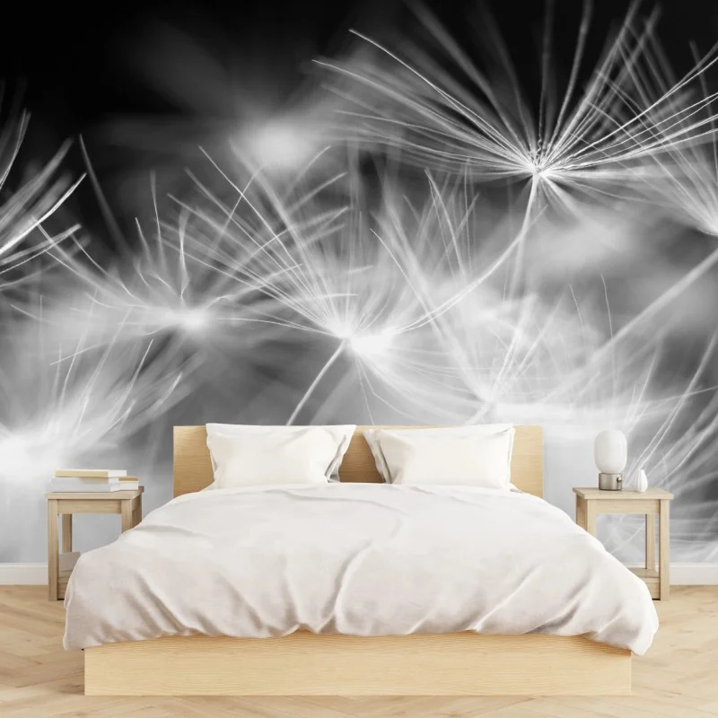Wall mural delicate dandelion seeds in monochrome