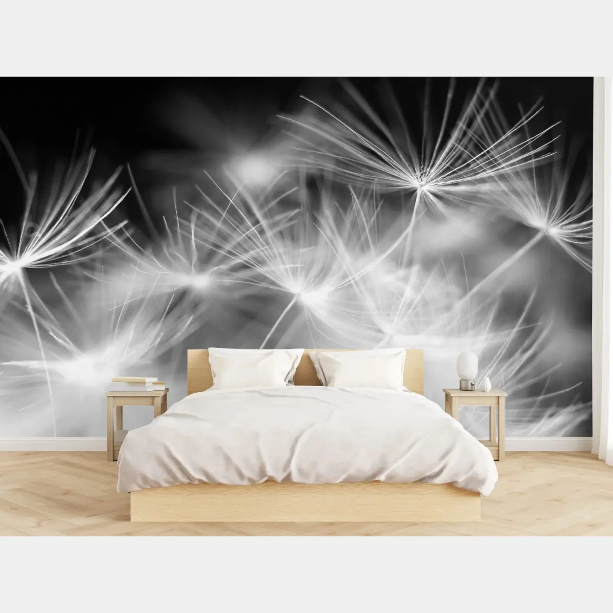Wall mural delicate dandelion seeds in monochrome • Wallissimo®