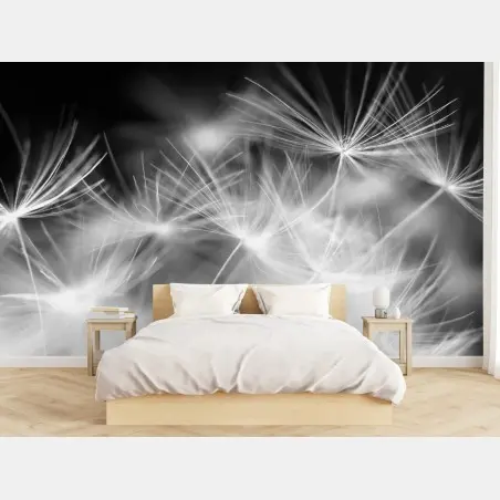 Wall mural delicate dandelion seeds in monochrome • Wallissimo®
