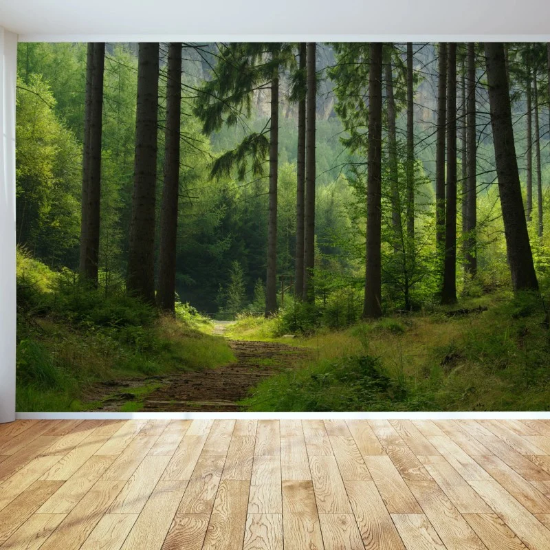 Wall mural serene forest trail ⁕ Wallissimo® Wall mural serene forest trail ⁕ Wallissimo®