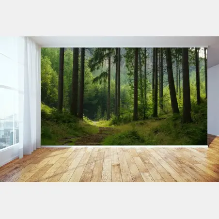 Wall mural serene forest trail • Wallissimo®