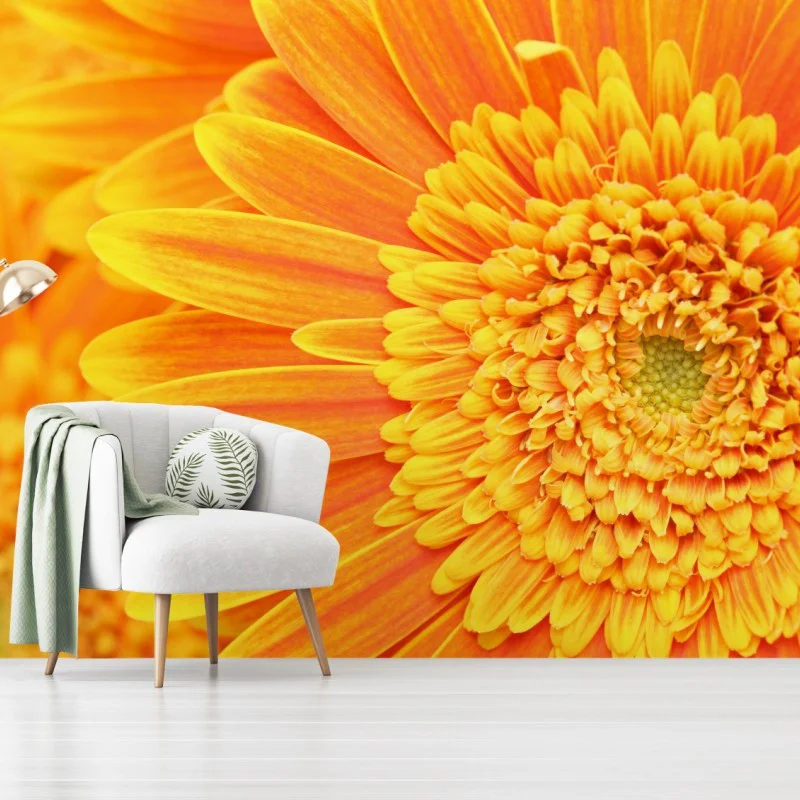 Wall mural vibrant orange gerbera close-up