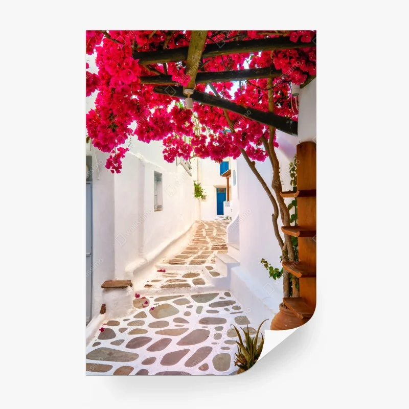 Wall mural sunlit Greek alley with bougainvillea