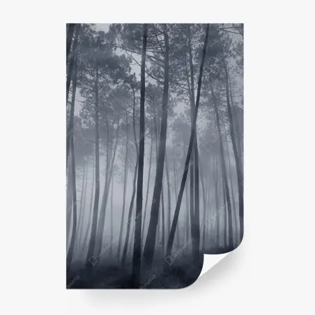 Wall mural misty pine forest at night • Wallissimo®