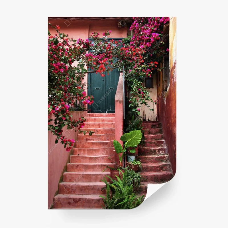 Wall mural bougainvillea stairway entrance