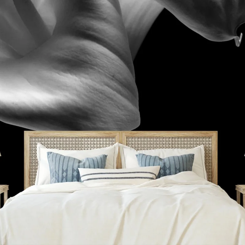 Wall mural elegant calla lilies in monochrome