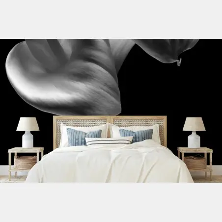 Wall mural elegant calla lilies in monochrome • Wallissimo®