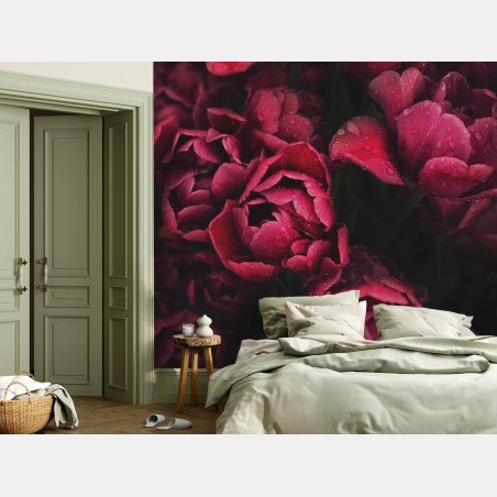 Wall mural deep crimson blooms with raindrops • Wallissimo®