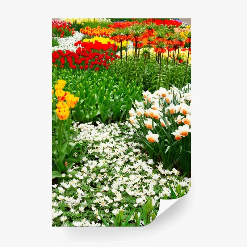 Wall mural • Wallissimo®