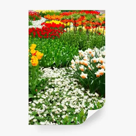 Wall mural vibrant spring flower garden • Wallissimo®