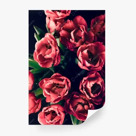 Wall mural moody pink tulip bouquet • Wallissimo®