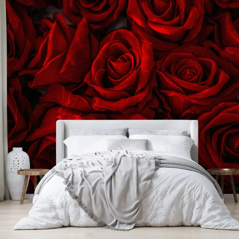 Wall mural lush red roses close-up