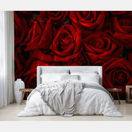 Wall mural lush red roses close-up • Wallissimo®