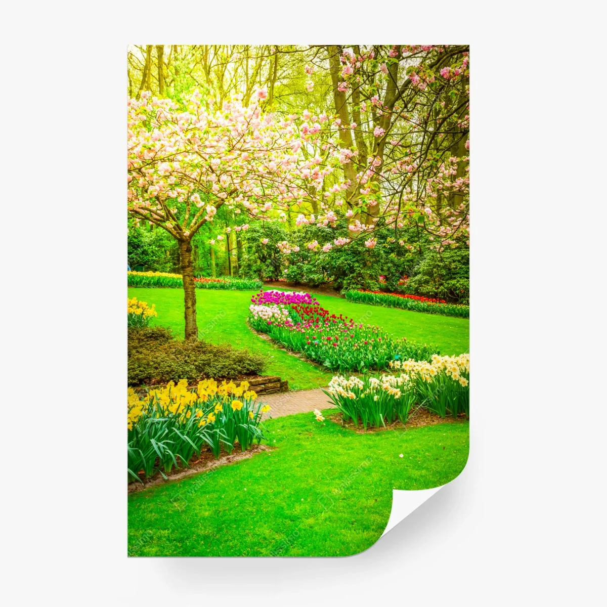 Wall mural spring garden bloom: tulips and cherry blossoms ⁕ Wallissimo® Wall mural spring garden bloom: tulips and cherry blossoms ⁕ Wallissimo®
