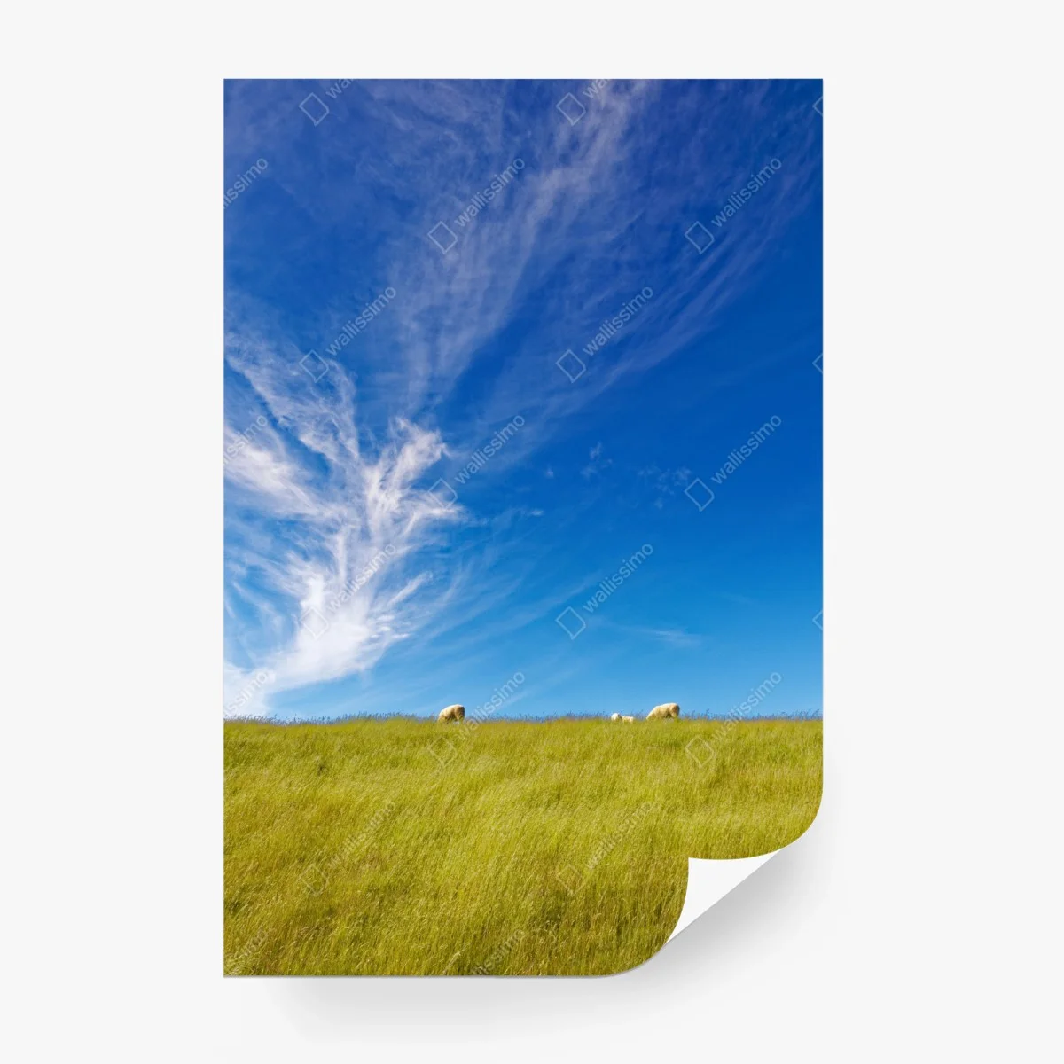 Wall mural serene meadow under blue sky • Wallissimo® Wall mural serene meadow under blue sky • Wallissimo®