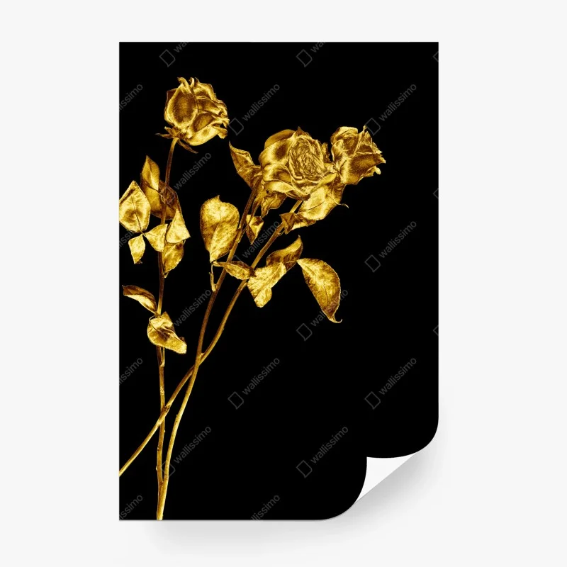 Wall mural golden roses on black