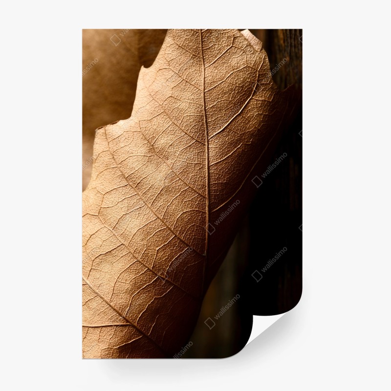 Wall mural textured dried leaf close-up