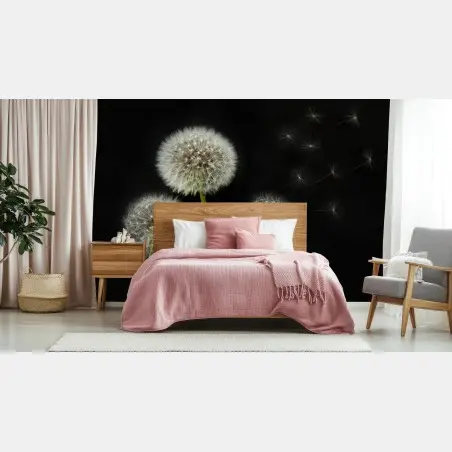 Wall mural delicate dandelion seed heads on black background • Wallissimo®