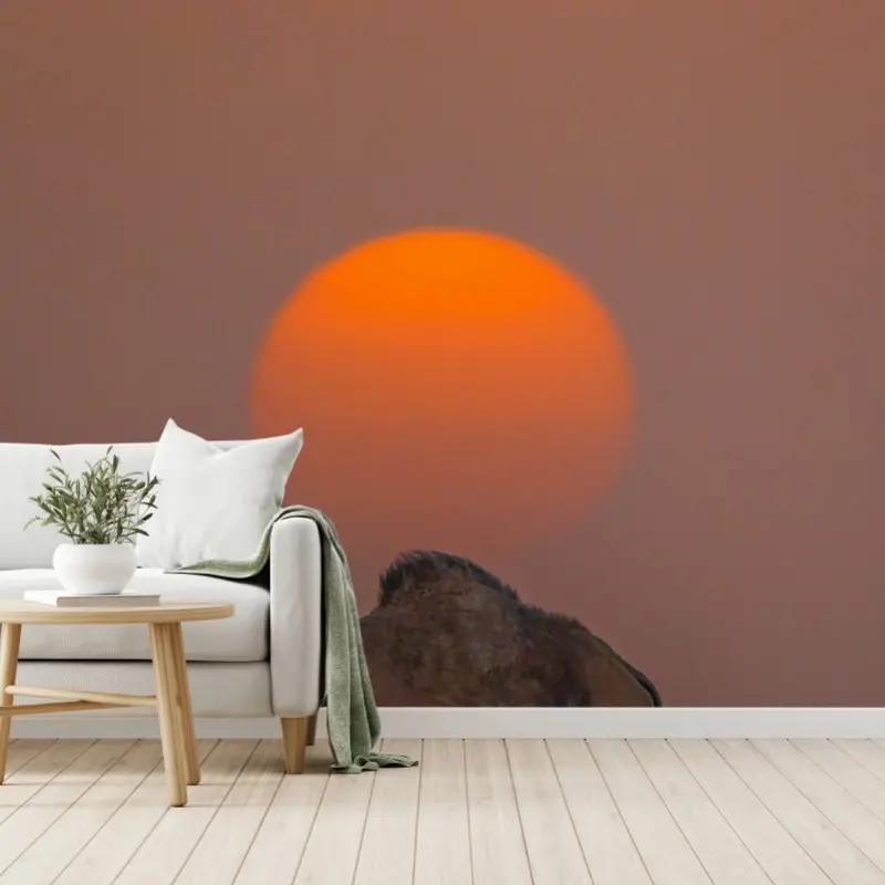 Wall mural desert sunset with camel silhouette