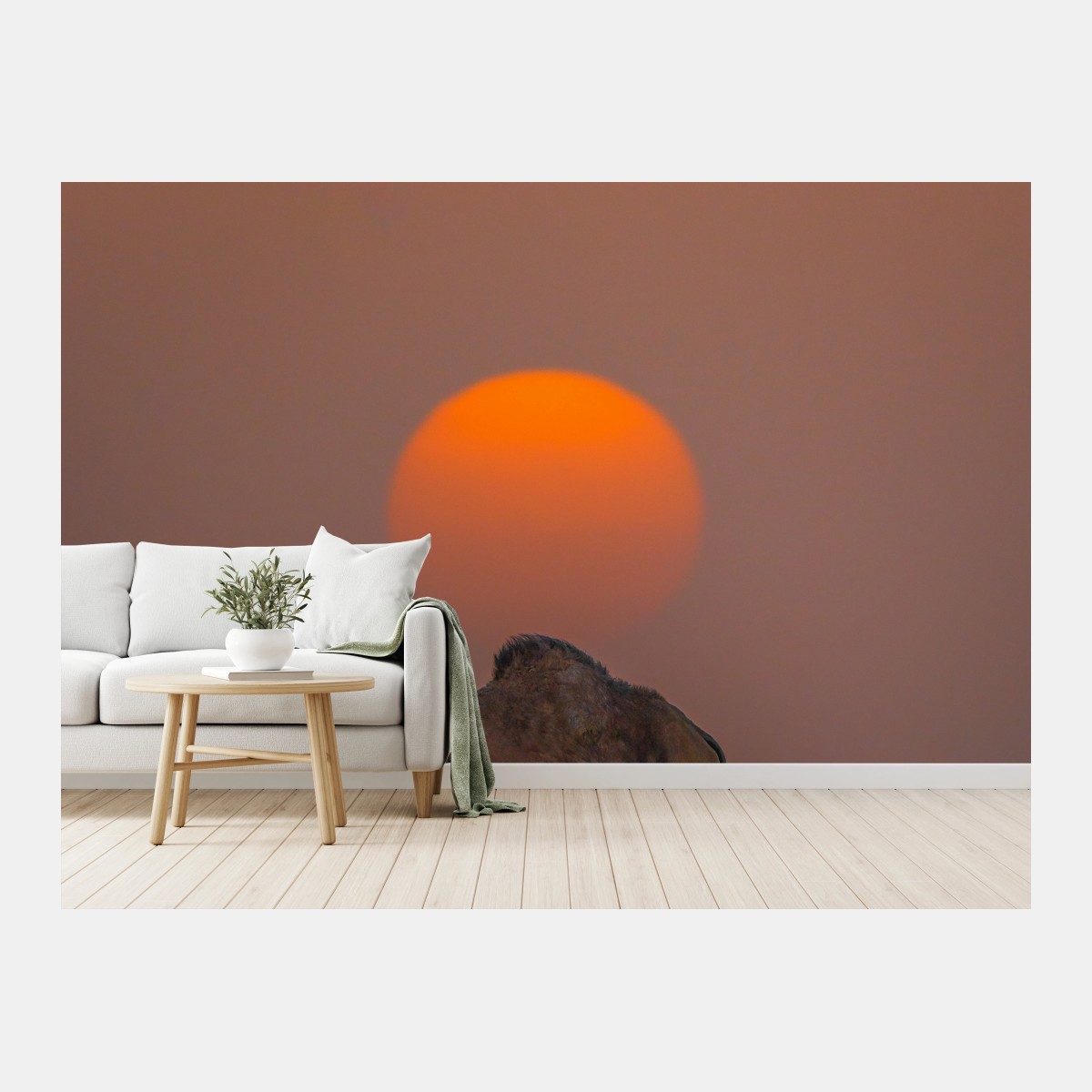 Wall mural desert sunset with camel silhouette • Wallissimo®