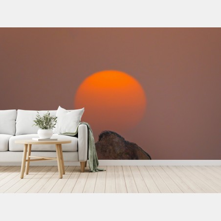 Wall mural desert sunset with camel silhouette • Wallissimo®