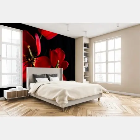 Wall mural three red tulips on black • Wallissimo®