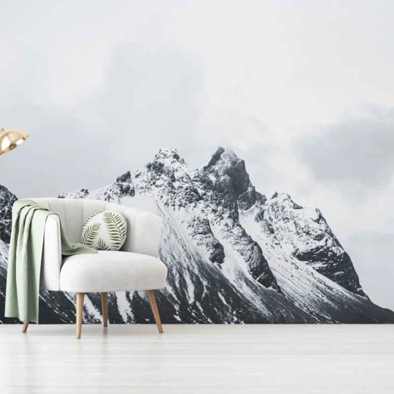 Wall mural serene snow-capped mountain seascape