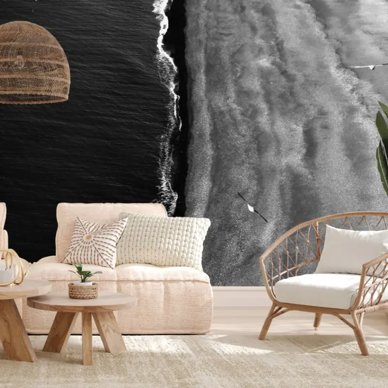Wall mural aerial monochrome beach coastline