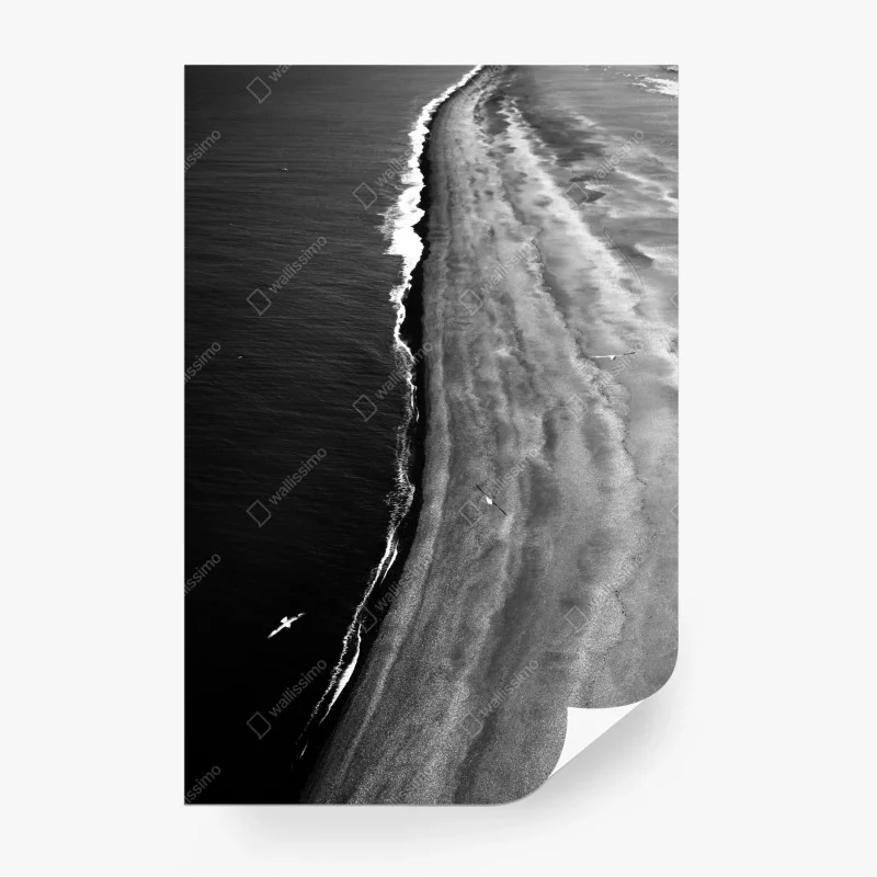 Wall mural aerial monochrome beach coastline