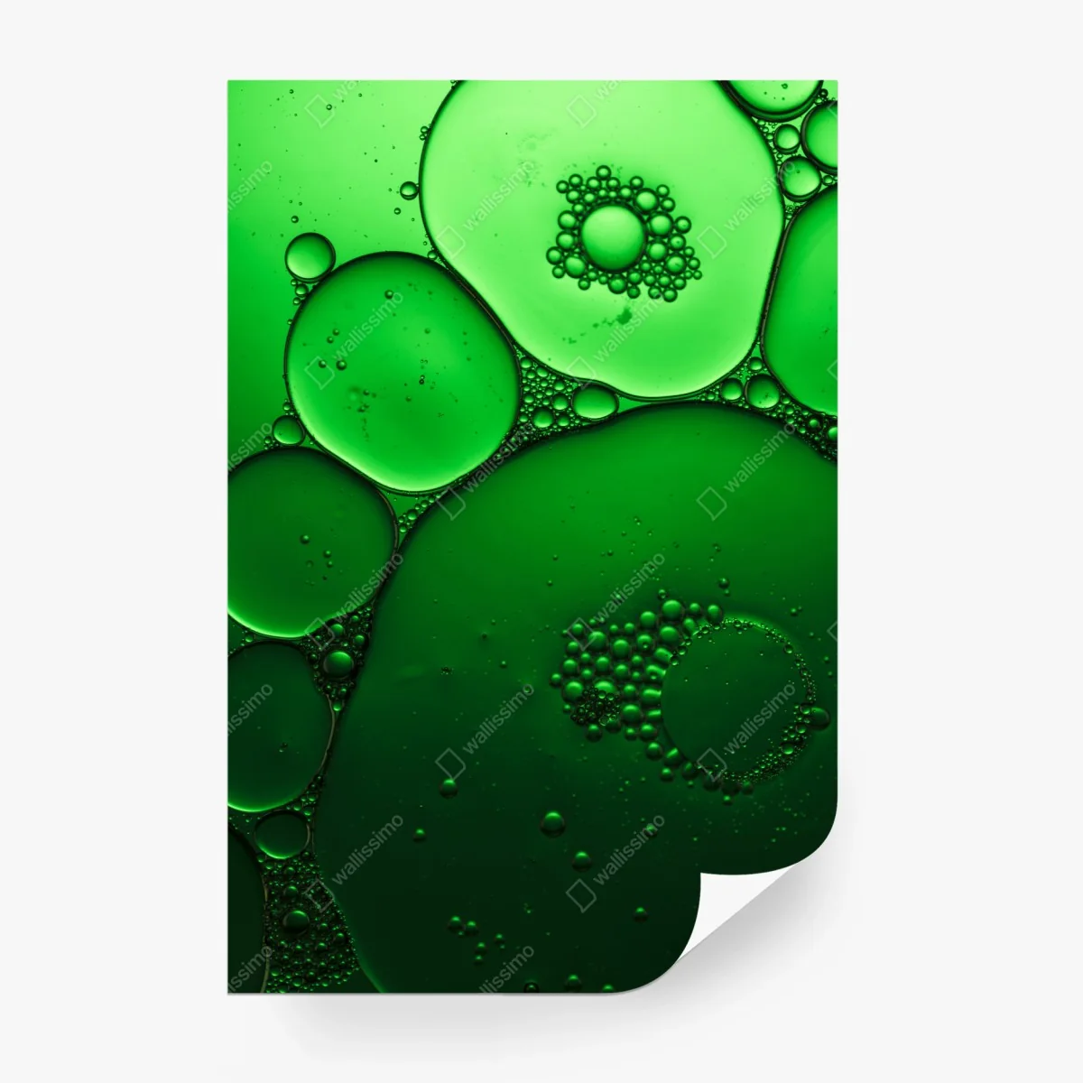 Wall mural green bubbles abstract composition • Wallissimo®