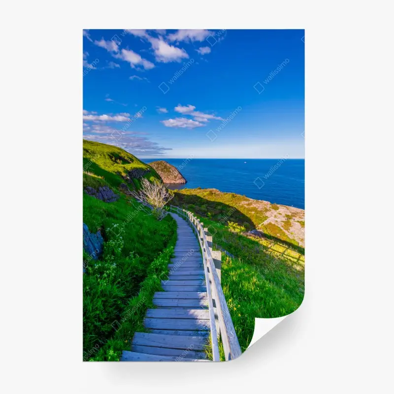 Wall mural coastal boardwalk overlooking blue ocean
