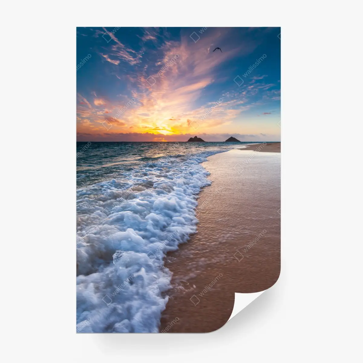 Wall mural serene sunrise over ocean shore • Wallissimo®