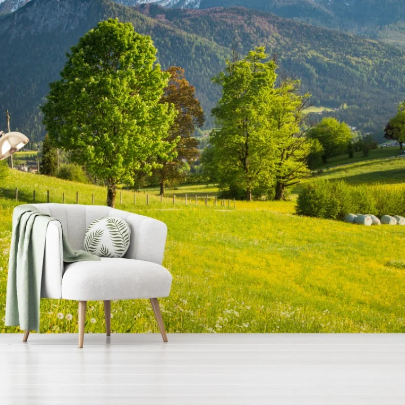 Wall mural alpine spring meadow beneath snowcapped peaks