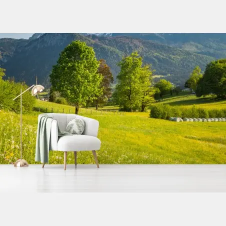 Wall mural alpine spring meadow beneath snowcapped peaks • Wallissimo®