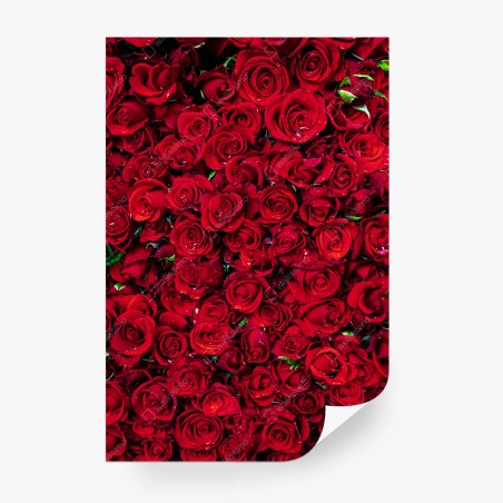Wall mural lush red roses close-up • Wallissimo®