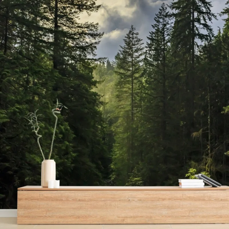 Wall mural misty evergreen forest waterfall