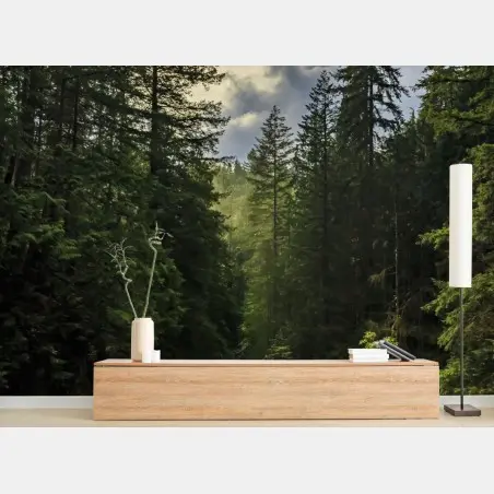 Wall mural misty evergreen forest waterfall • Wallissimo®