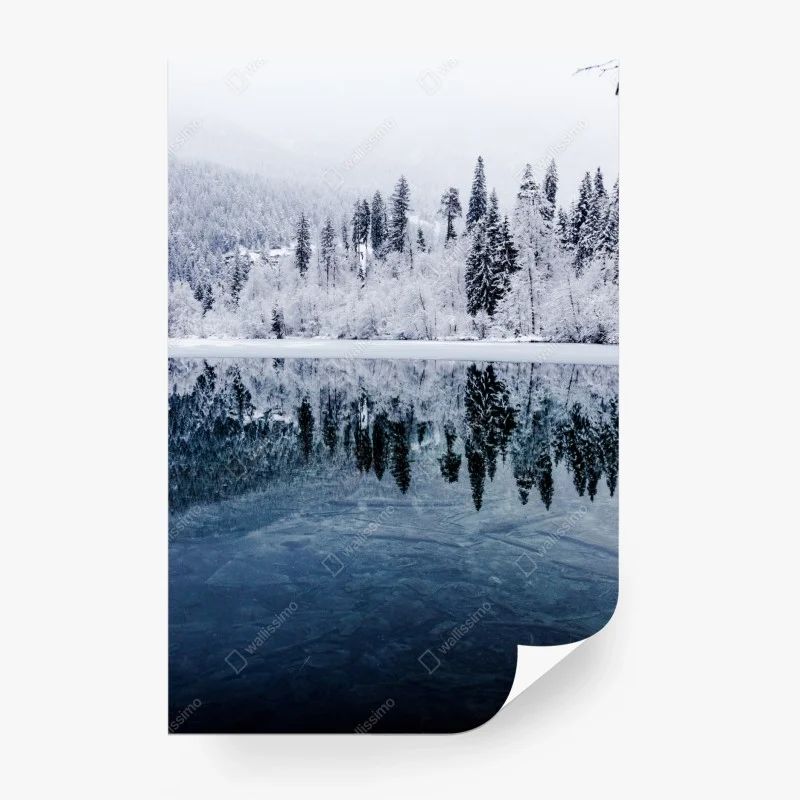 Wall mural winter lake reflection in snowy forest