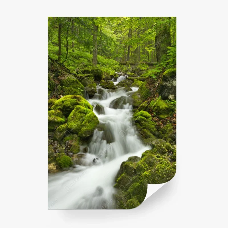 Wall mural lush mossy waterfall in Slovenský Raj