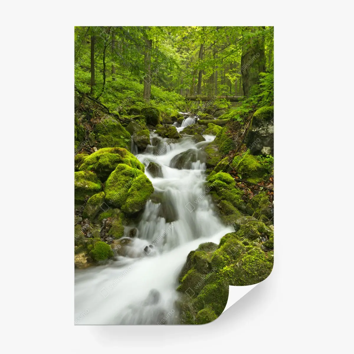 Wall mural lush mossy waterfall in Slovenský Raj • Wallissimo®