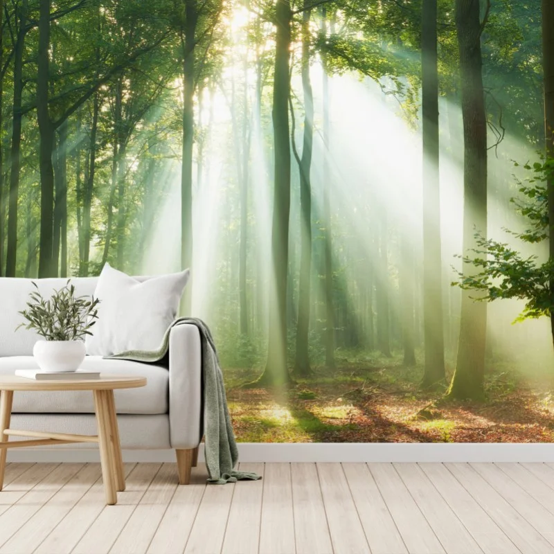 Wall mural morning light in the forest