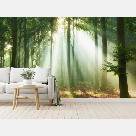 Wall mural morning light in the forest • Wallissimo®
