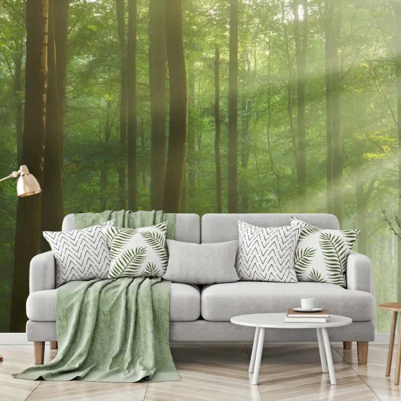Wall mural sunlit morning in the forest