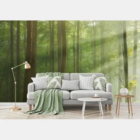 Wall mural sunlit morning in the forest • Wallissimo®