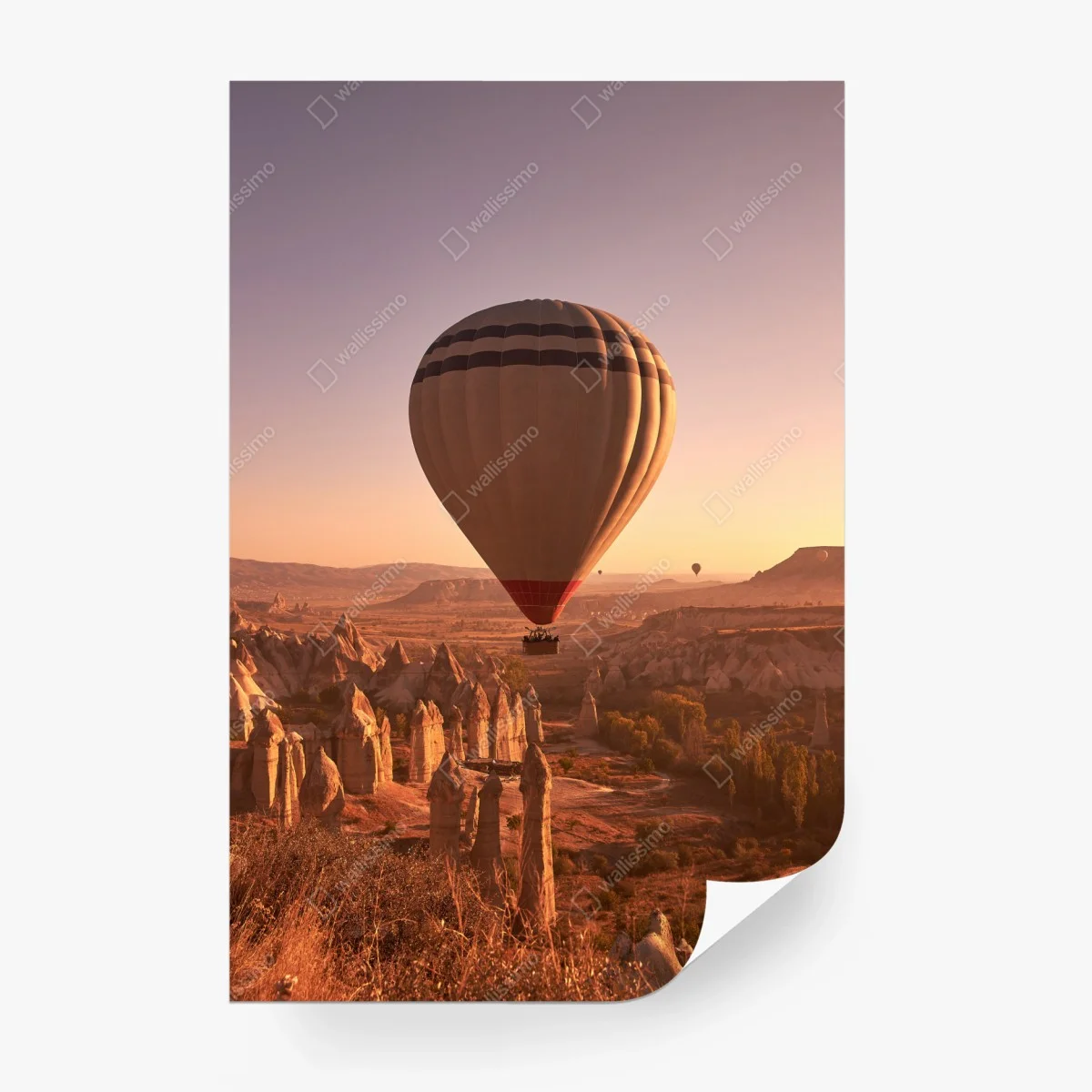 Wall mural Cappadocia sunrise balloon over rock formations ⁕ Wallissimo®