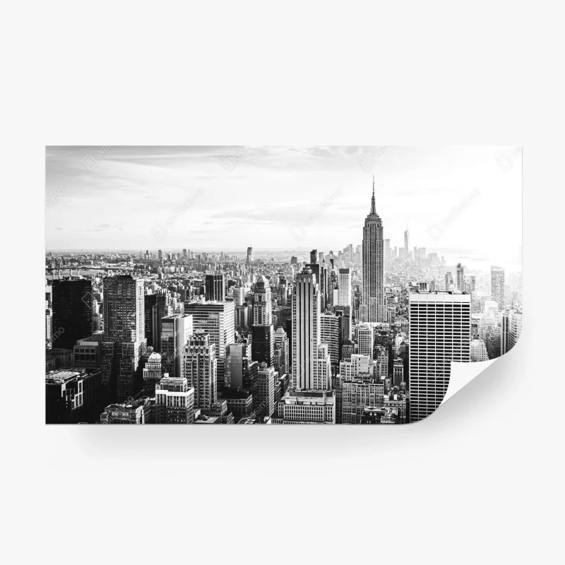 Wall mural New York skyline in monochrome